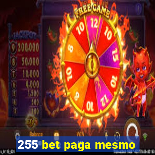 255 bet paga mesmo